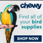 chewy, dog, cat, lizard, furry, fishy, pet toys, pet foods, pet supplements